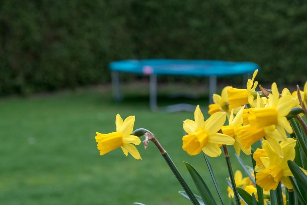 Groepsaccommodatie Kom In De Bedstee Sprookje Winterswijk Bagian luar foto